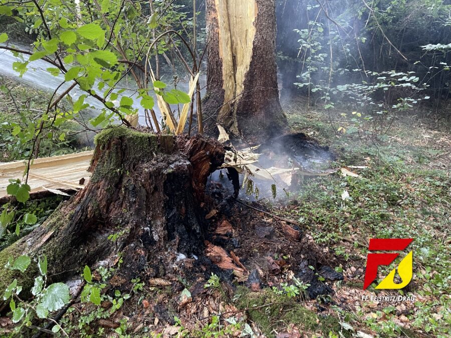 B2, Brand Baum, Marwiese 25.07.2022