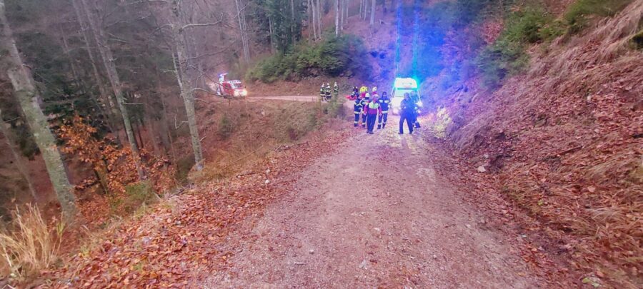 T Person 2, Forstunfall Person eingeklemmt, Tschekeltal/Kreuzen