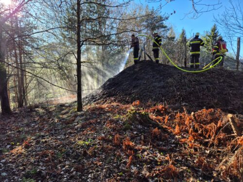 B4, Brand Wiese/Feld/Flur groß, Nikelsdorf