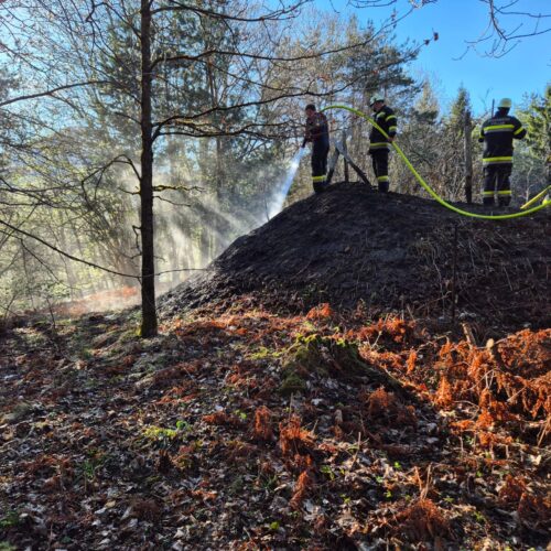 B4, Brand Wiese/Feld/Flur groß, Nikelsdorf