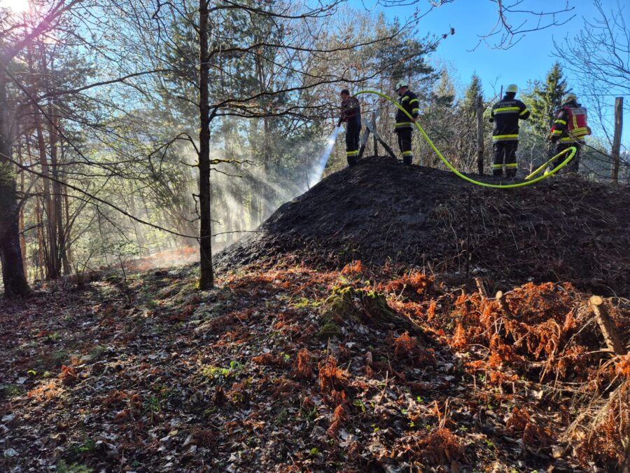 B4, Brand Wiese/Feld/Flur groß, Nikelsdorf